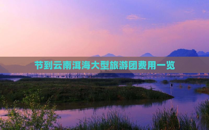 节到云南洱海大型旅游团费用一览
