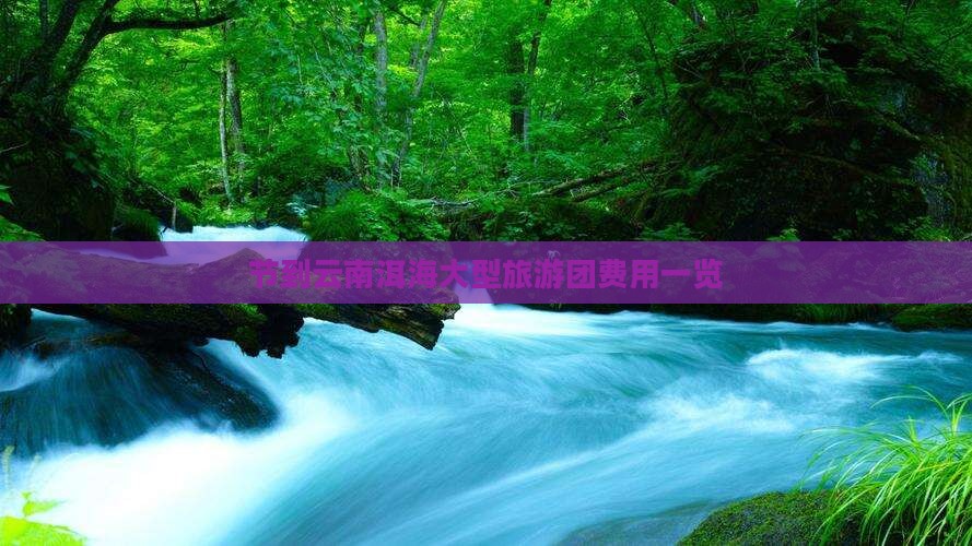节到云南洱海大型旅游团费用一览