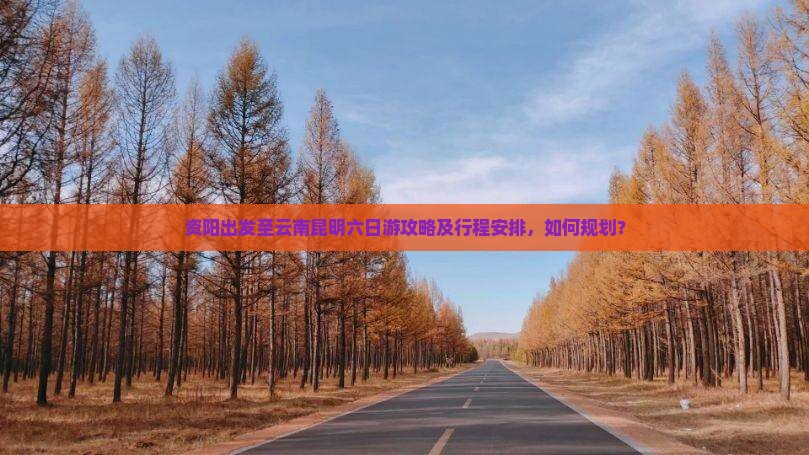 资阳出发至云南昆明六日游攻略及行程安排，如何规划？
