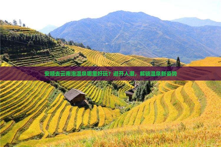 安顺去云南泡温泉哪里好玩？避开人潮，解锁温泉新姿势