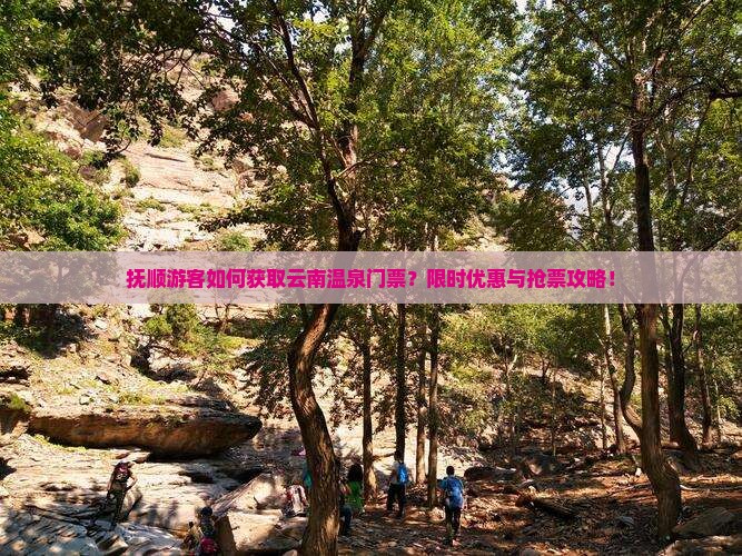抚顺游客如何获取云南温泉门票？限时优惠与抢票攻略！