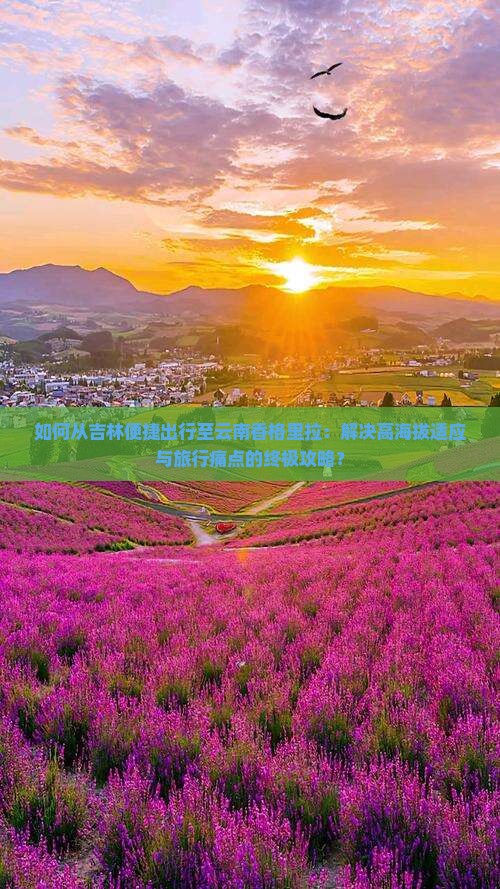 如何从吉林便捷出行至云南香格里拉：解决高海拔适应与旅行痛点的终极攻略？