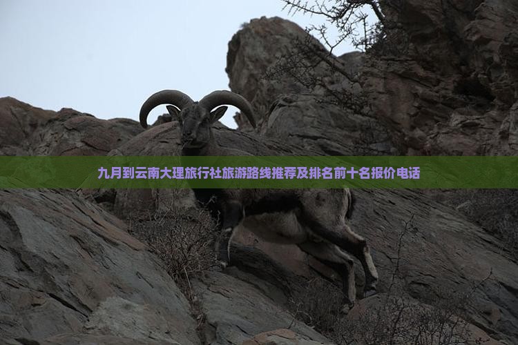 九月到云南大理旅行社旅游路线推荐及排名前十名报价电话