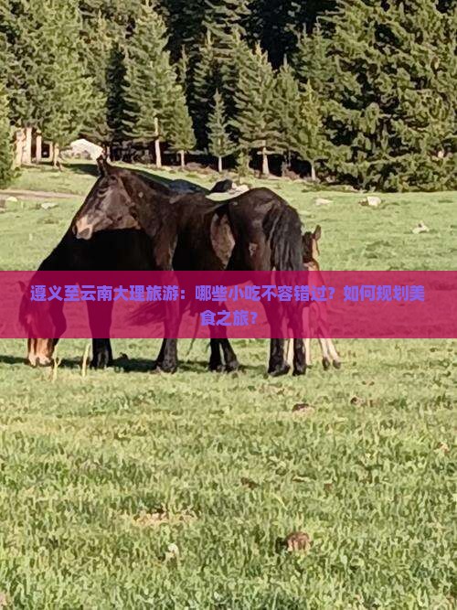 遵义至云南大理旅游：哪些小吃不容错过？如何规划美食之旅？
