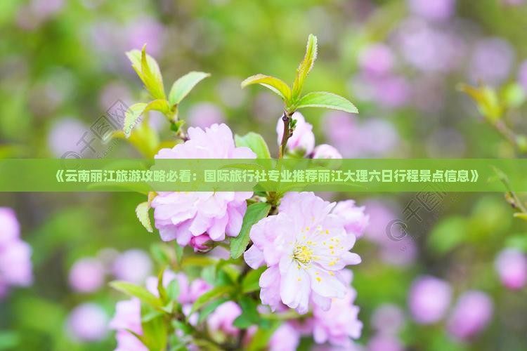 《云南丽江旅游攻略必看：国际旅行社专业推荐丽江大理六日行程景点信息》