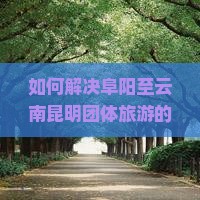 如何解决阜阳至云南昆明团体旅游的出行痛点，提升游客体验？