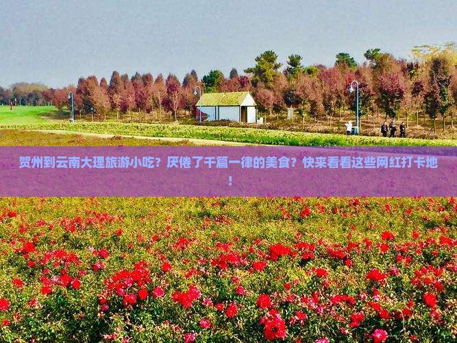 贺州到云南大理旅游小吃？厌倦了千篇一律的美食？快来看看这些网红打卡地！