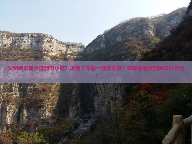 贺州到云南大理旅游小吃？厌倦了千篇一律的美食？快来看看这些网红打卡地！