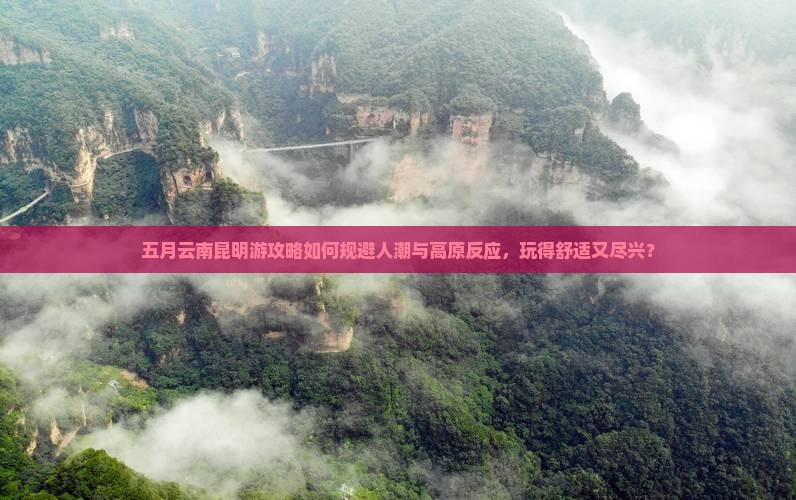 五月云南昆明游攻略如何规避人潮与高原反应，玩得舒适又尽兴？