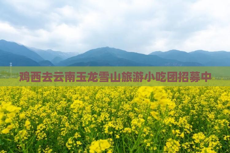 鸡西去云南玉龙雪山旅游小吃团招募中