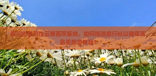 银川出发前往云南西双版纳，如何挑选旅行社以确保高品质旅游体验？