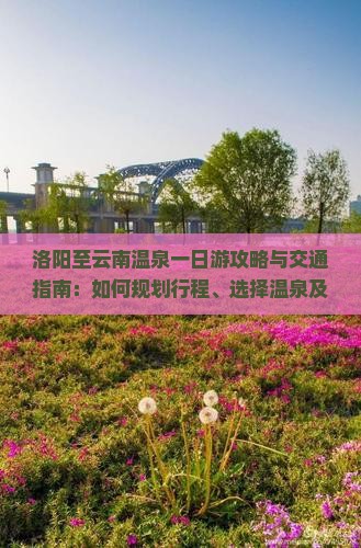 洛阳至云南温泉一日游攻略与交通指南：如何规划行程、选择温泉及享受当地特色？