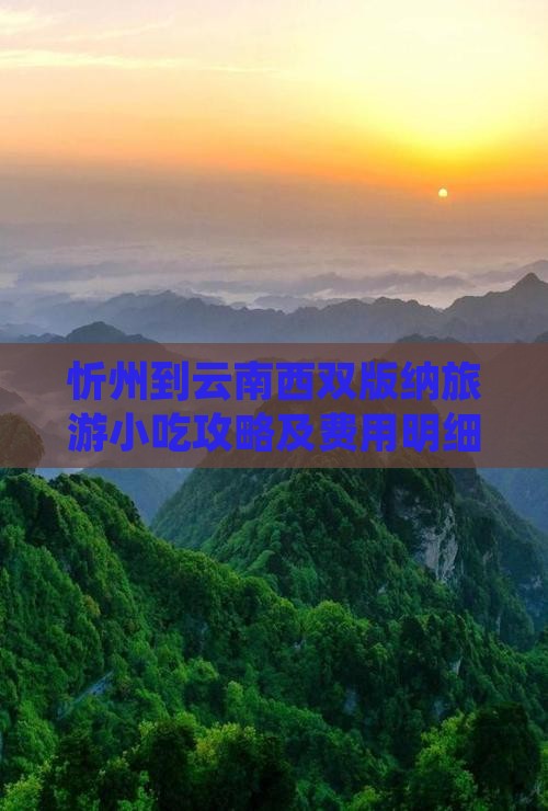忻州到云南西双版纳旅游小吃攻略及费用明细