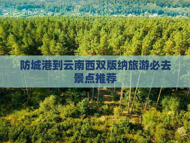 防城港到云南西双版纳旅游必去景点推荐