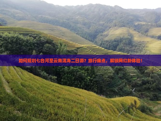 如何规划七台河至云南洱海二日游？旅行痛点，解锁网红新体验！