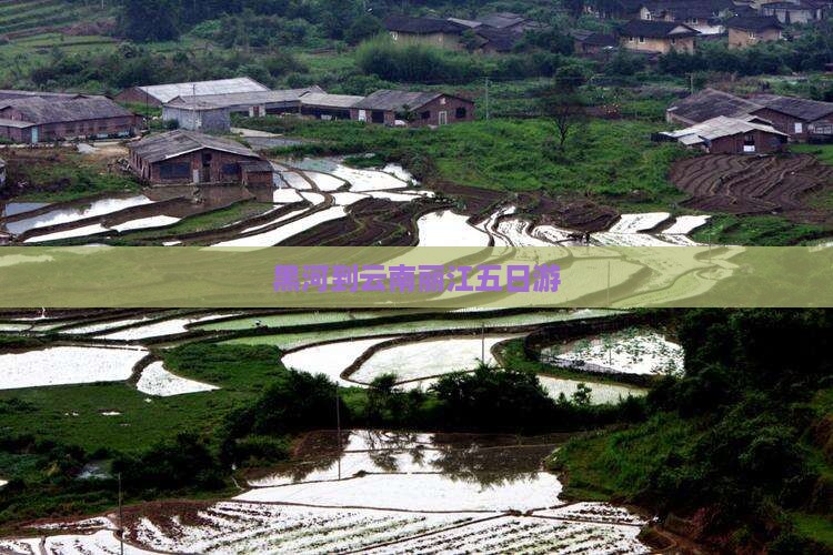 黑河到云南丽江五日游