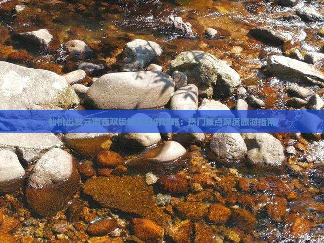 仙桃出发云南西双版纳五日游攻略：热门景点深度旅游指南
