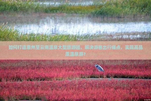 如何打造惠州至云南温泉大型旅游团，解决游客出行痛点，实现高品质温泉游？