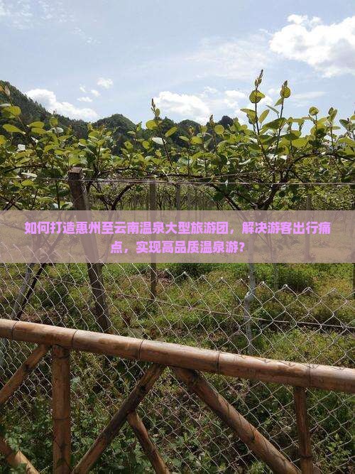 如何打造惠州至云南温泉大型旅游团，解决游客出行痛点，实现高品质温泉游？