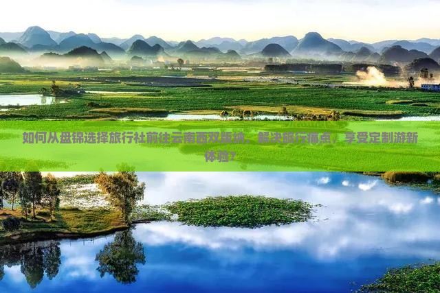 如何从盘锦选择旅行社前往云南西双版纳，解决旅行痛点，享受定制游新体验？
