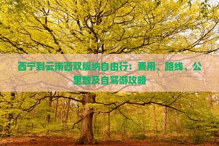 西宁到云南西双版纳自由行：费用、路线、公里数及自驾游攻略
