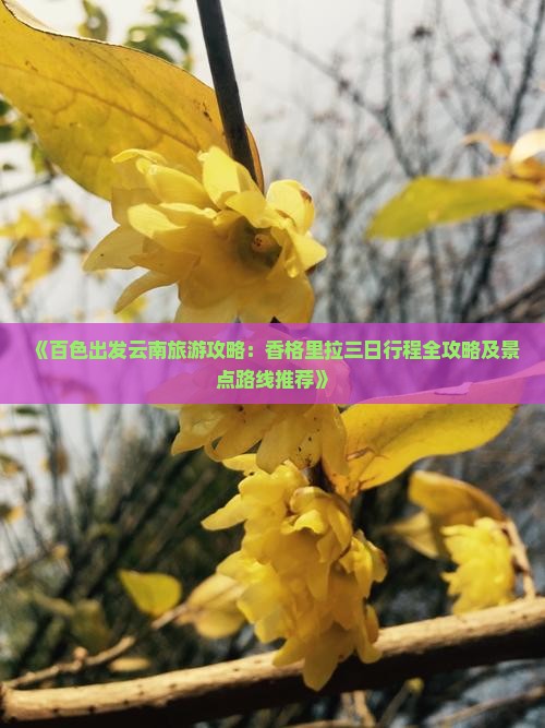 《百色出发云南旅游攻略：香格里拉三日行程全攻略及景点路线推荐》