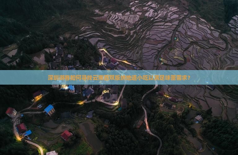 深圳游客如何寻找云南西双版纳地道小吃以满足味蕾需求？