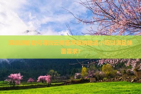 深圳游客如何寻找云南西双版纳地道小吃以满足味蕾需求？
