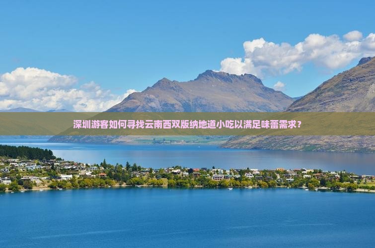 深圳游客如何寻找云南西双版纳地道小吃以满足味蕾需求？
