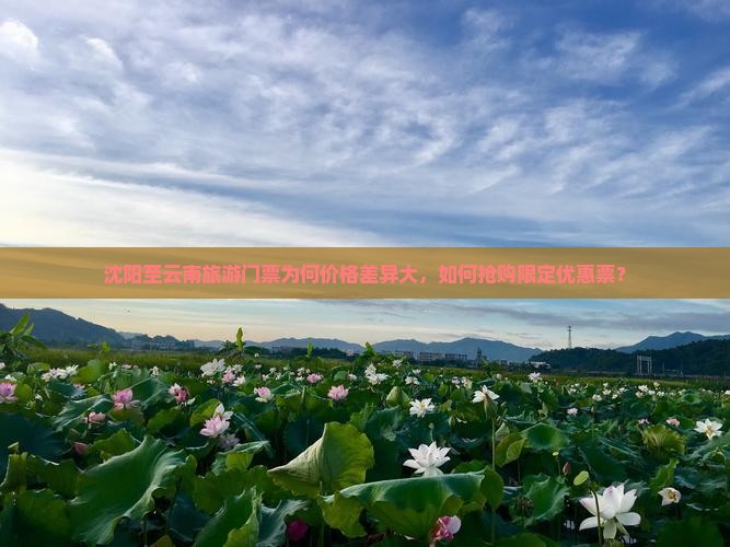 沈阳至云南旅游门票为何价格差异大，如何抢购限定优惠票？