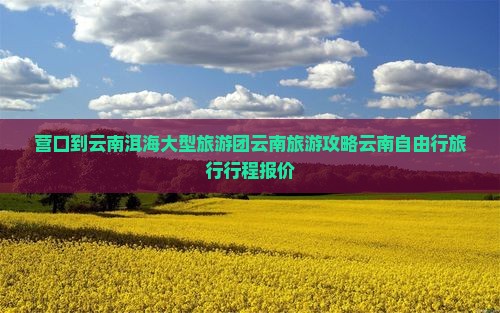 营口到云南洱海大型旅游团云南旅游攻略云南自由行旅行行程报价