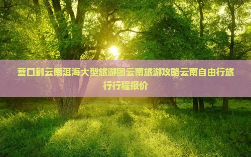 营口到云南洱海大型旅游团云南旅游攻略云南自由行旅行行程报价