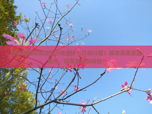 如何规划阿克苏至云南温泉七日游行程？解决高原反应痛点，探索旅行新体验！