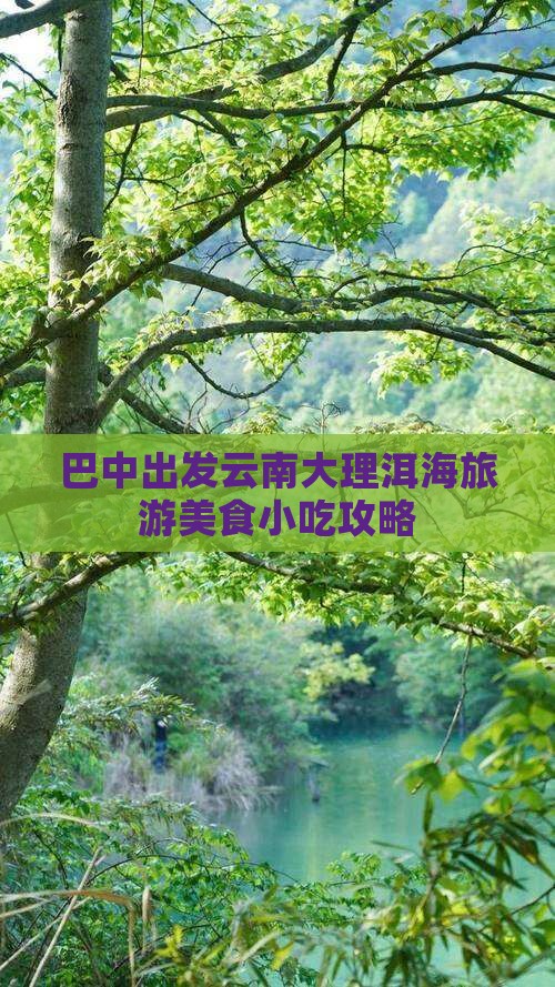 巴中出发云南大理洱海旅游美食小吃攻略