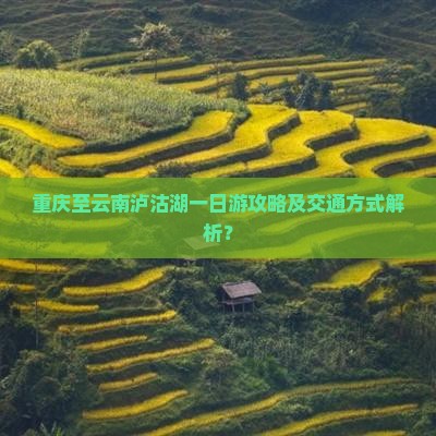 重庆至云南泸沽湖一日游攻略及交通方式解析？