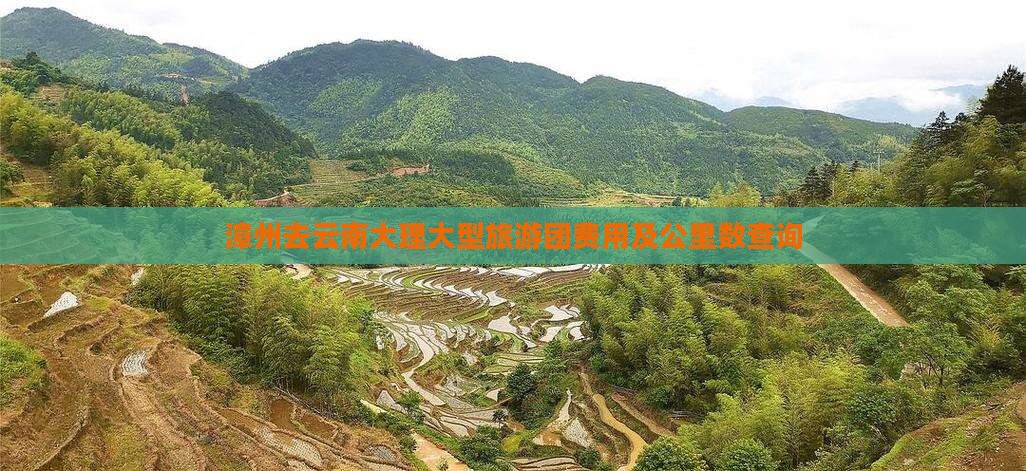漳州去云南大理大型旅游团费用及公里数查询