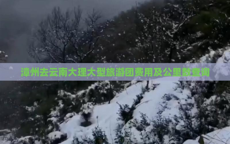 漳州去云南大理大型旅游团费用及公里数查询