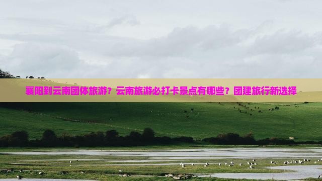 襄阳到云南团体旅游？云南旅游必打卡景点有哪些？团建旅行新选择