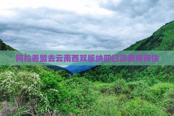 阿拉善盟去云南西双版纳四日游费用预估
