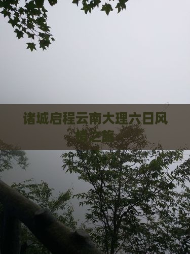 诸城启程云南大理六日风情之旅