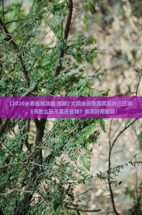 大同去云南西双版纳三日游