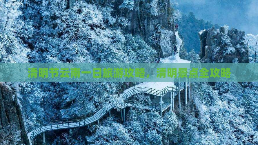 清明节去云南一日