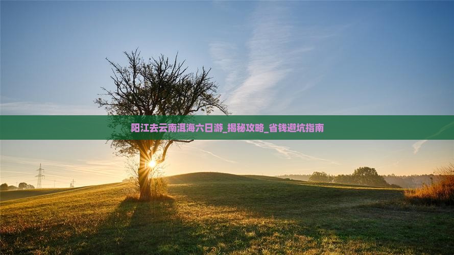 阳江去云南洱海六日游