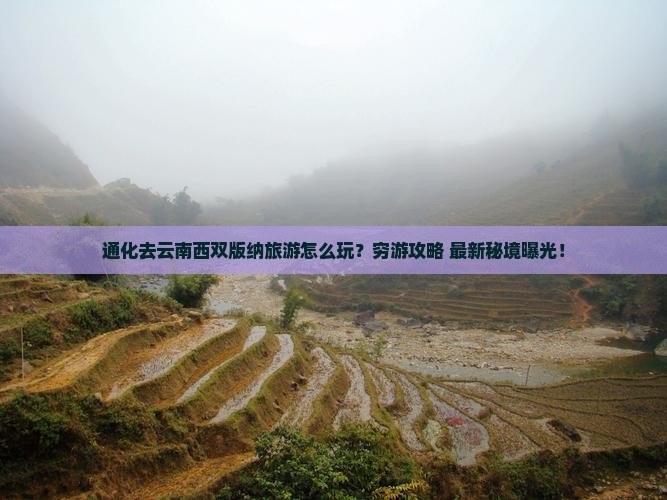 通化去云南西双版纳旅游