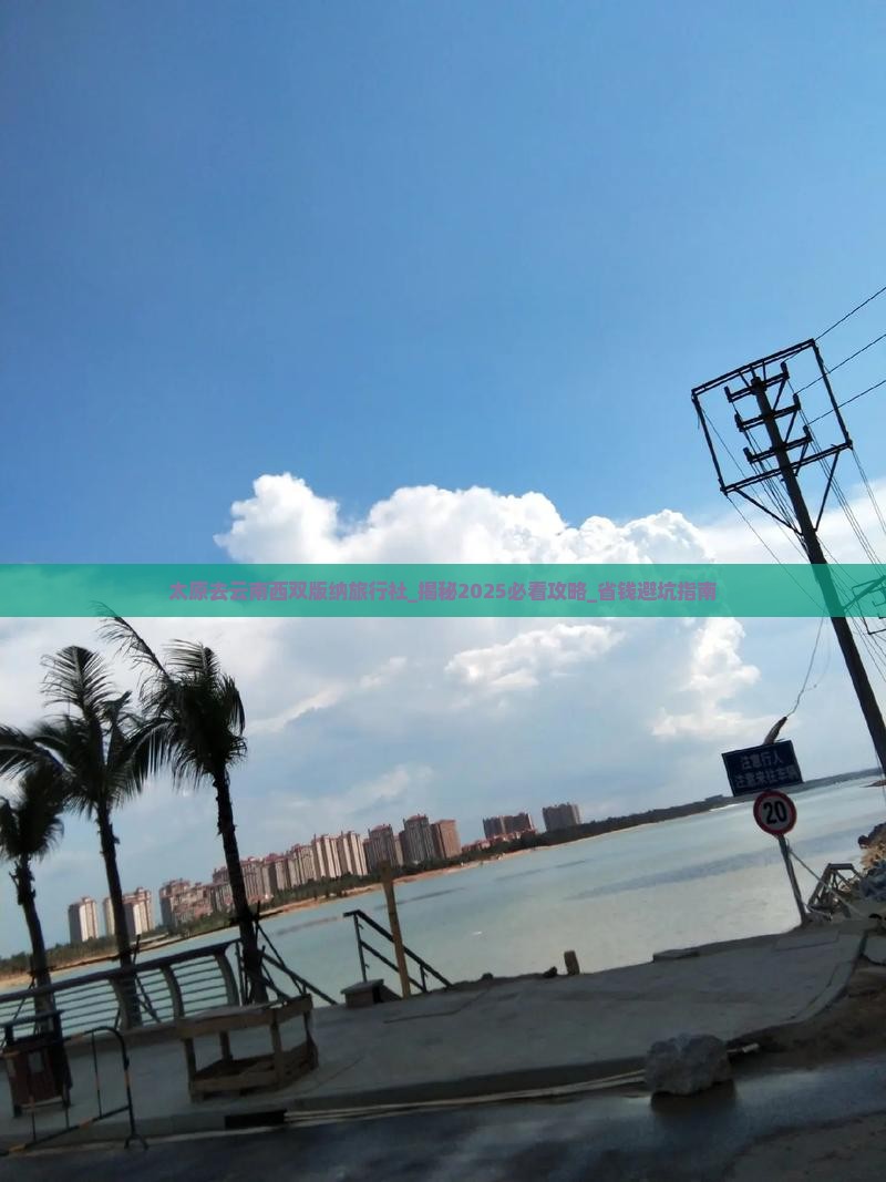 太原去云南西双版纳旅行社