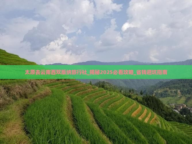 太原去云南西双版纳旅行社