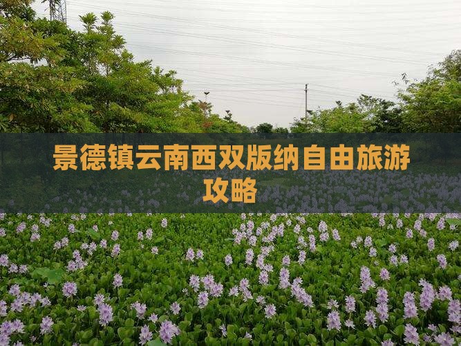 景德镇去云南西双版纳自由团