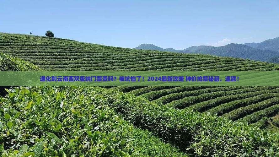 通化到云南西双版纳门票