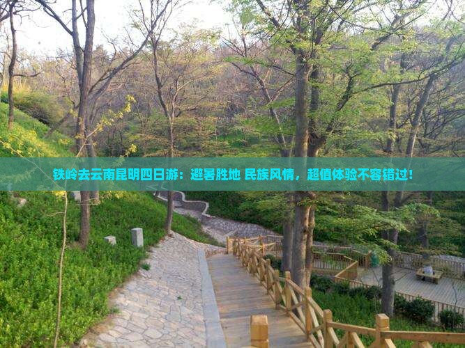 铁岭去云南昆明四日游