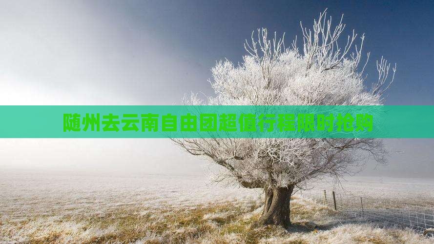 随州去云南自由团